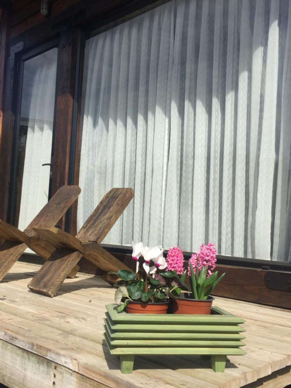 Palo Santo Pichilemu Exterior foto
